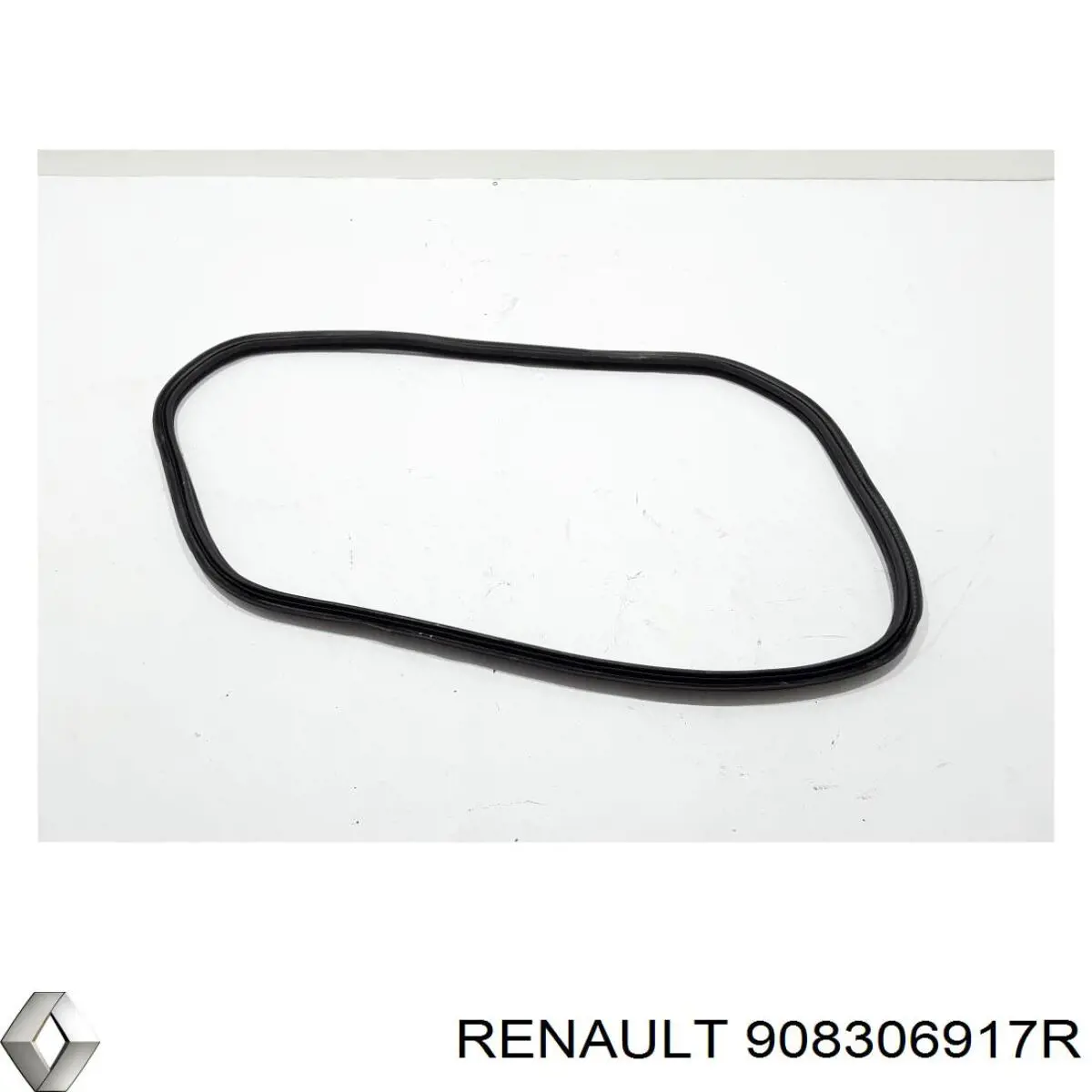 908306917R Renault (RVI) Ущільнювач задніх 3/5-х дверей