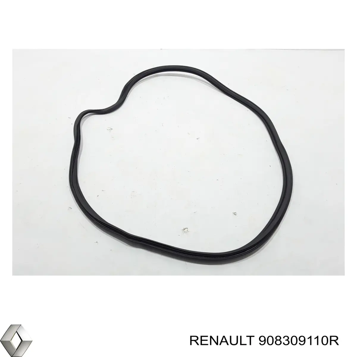 908309110R Renault (RVI) 