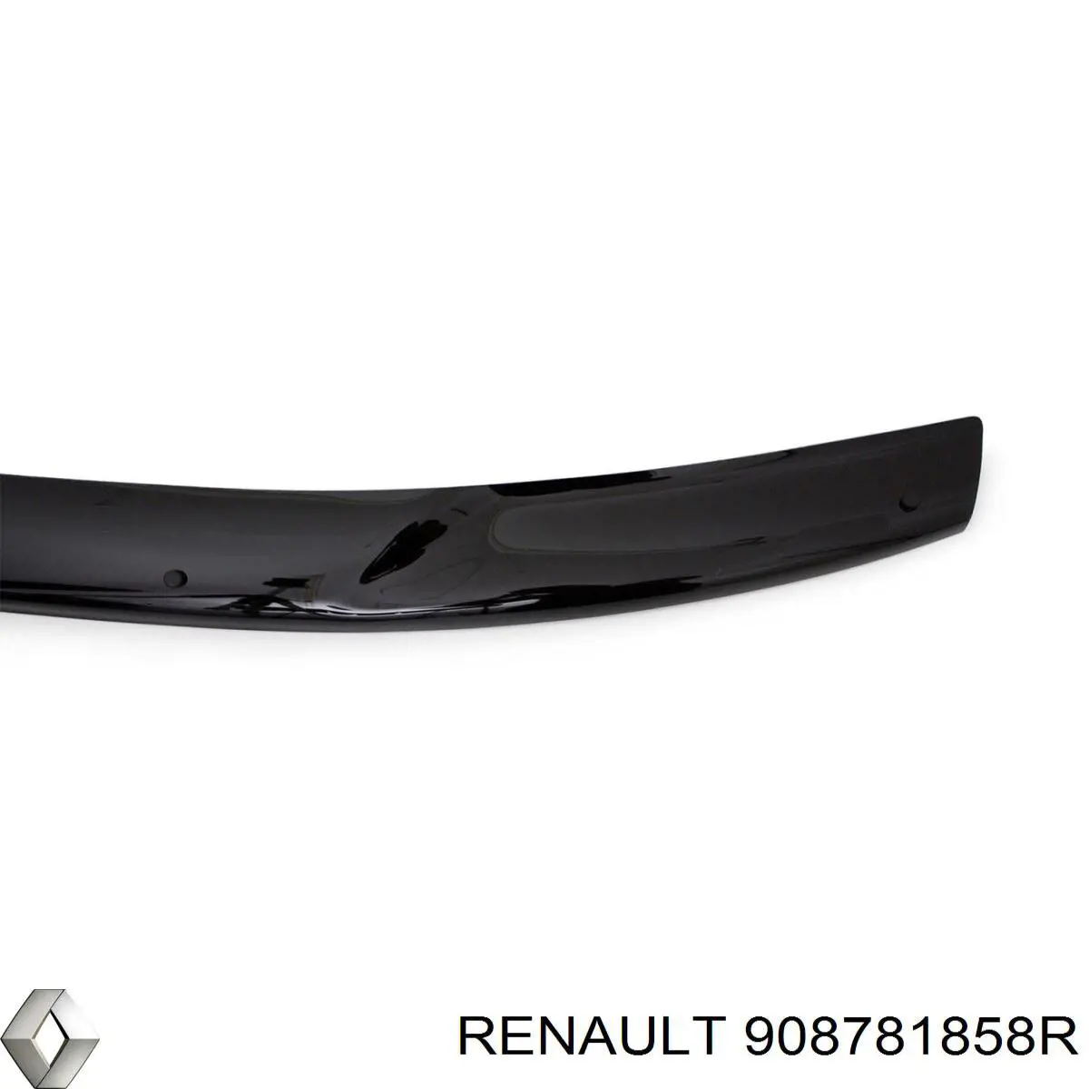  908781858R Renault (RVI)