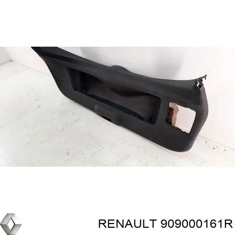  909000161R Renault (RVI)