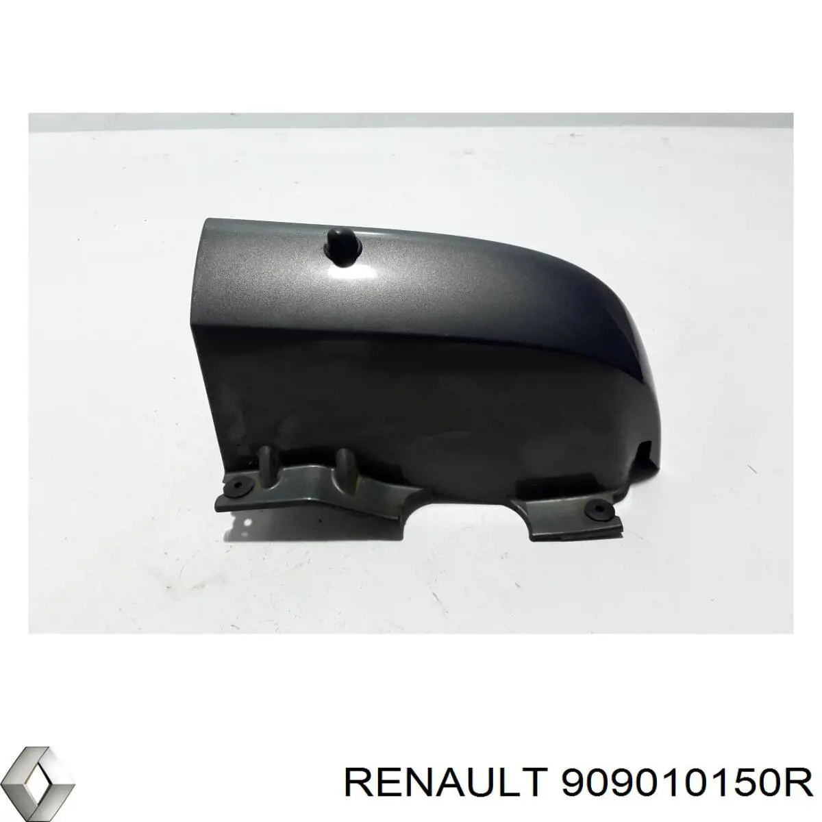  909010150R Renault (RVI)