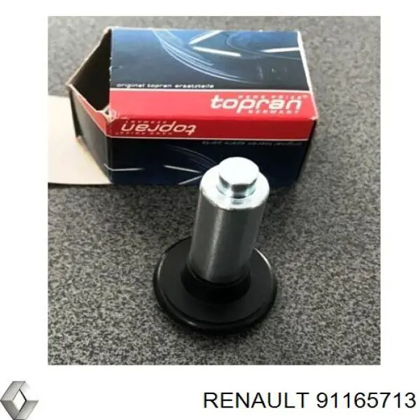 91165713 Renault (RVI) Ролик двері бічної/зсувної, правий верхній