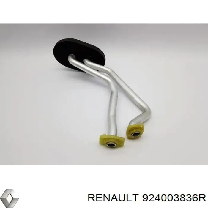 924003836R Renault (RVI) шланг/патрубок системи охолодження
