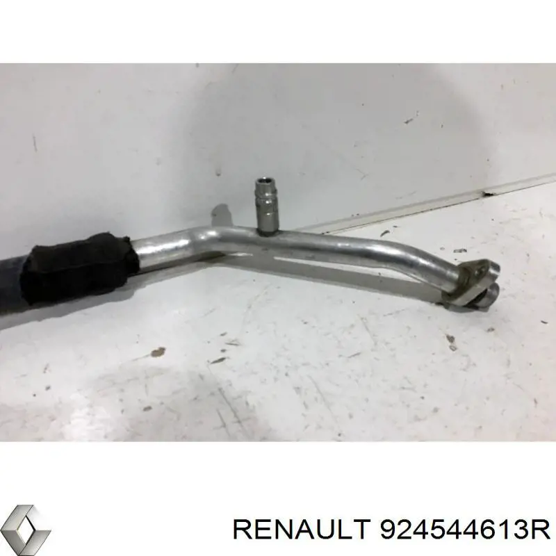  924544613R Renault (RVI)