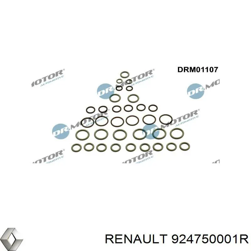 Кільце ущільнювальне трубки кондиціонера Renault (RVI) 924750001R