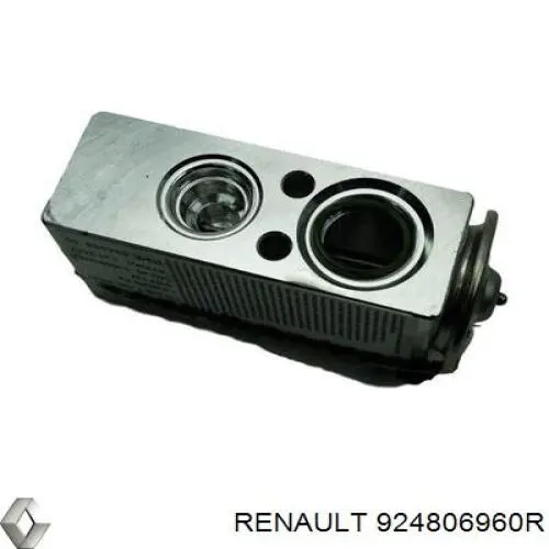 Купити 924806960R Renault (RVI) 