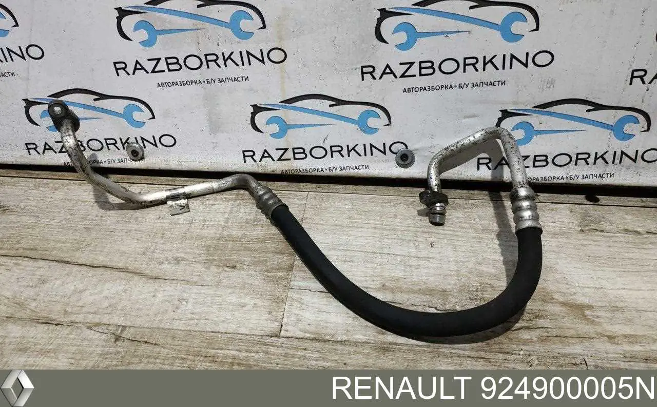 Renault (RVI) 924900005N ціна, від 31.67 USD
