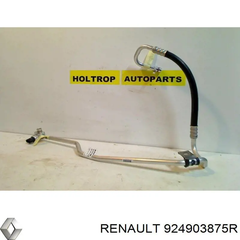  924903875R Renault (RVI)