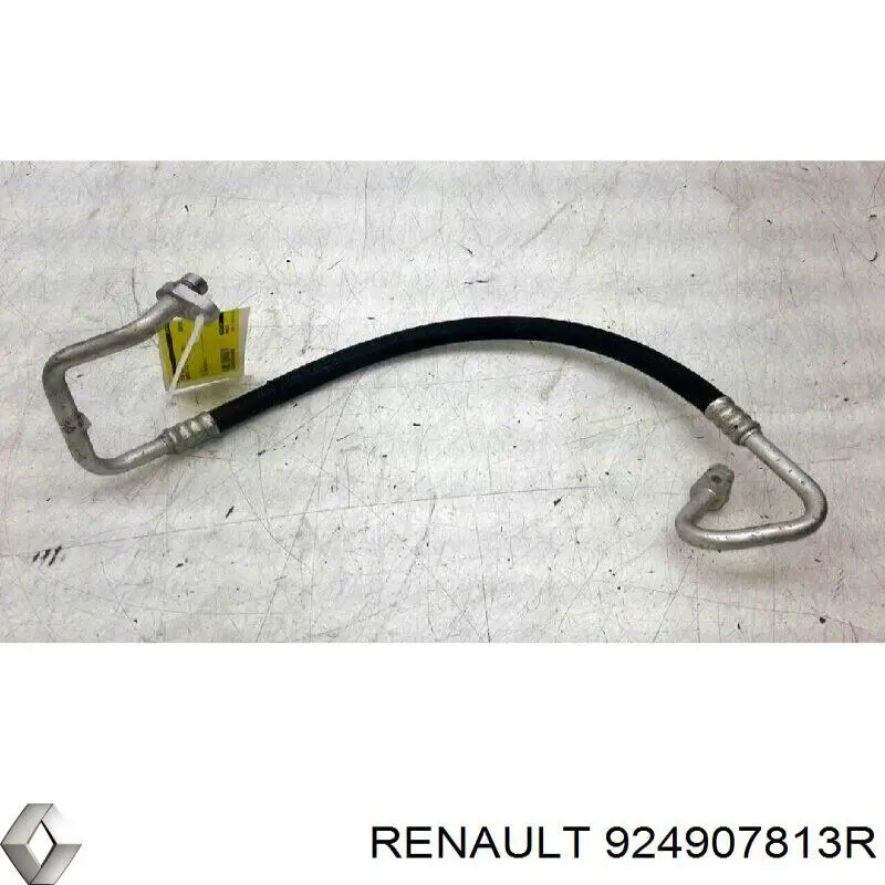  Renault (RVI) 924907813R ціна, від 43.99 USD