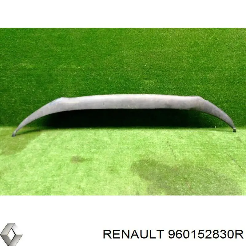Купити 960152830R Renault (RVI) 