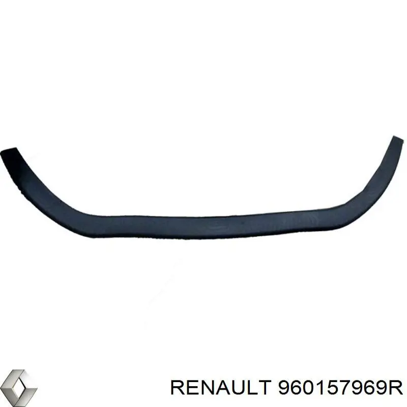 960157969R Renault (RVI) Захисна губа бампера переднього