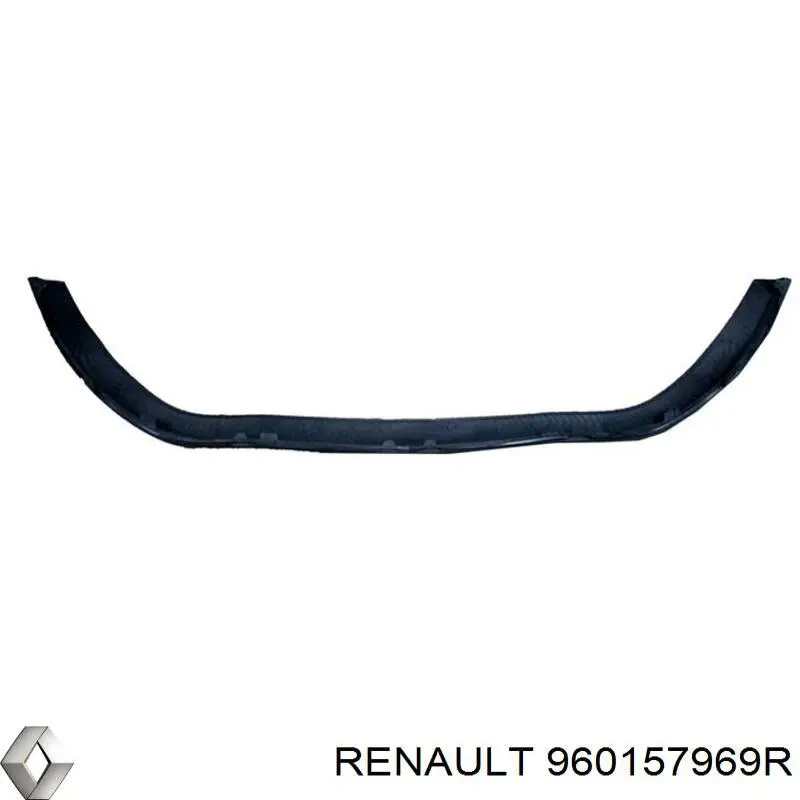 Спліттер переднього бампера Renault (RVI) 960157969R ціна, від 23.96 USD