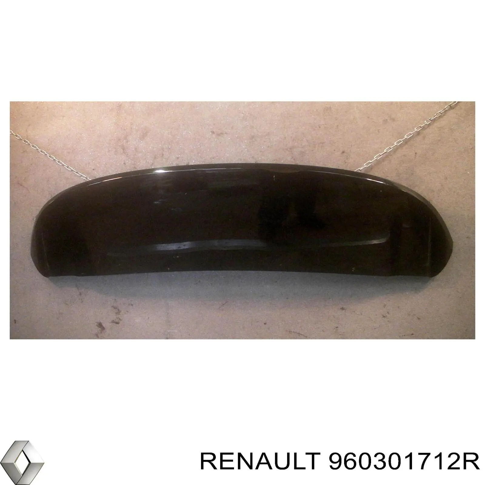 Спойлер задніх дверей Renault (RVI) 960301712R ціна, від 80.76 USD