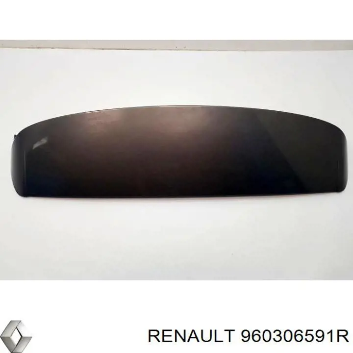 Купити 960306591R Renault (RVI) 