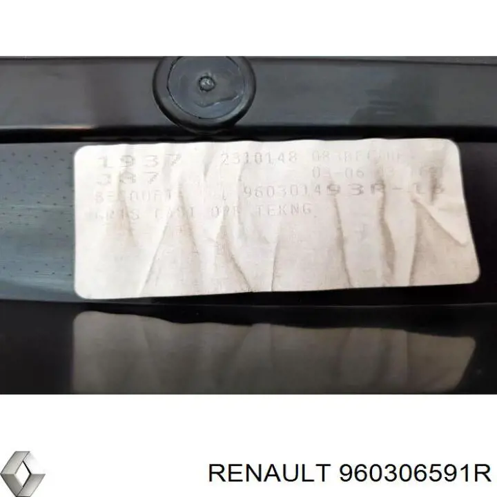 960306591R Renault (RVI) 
