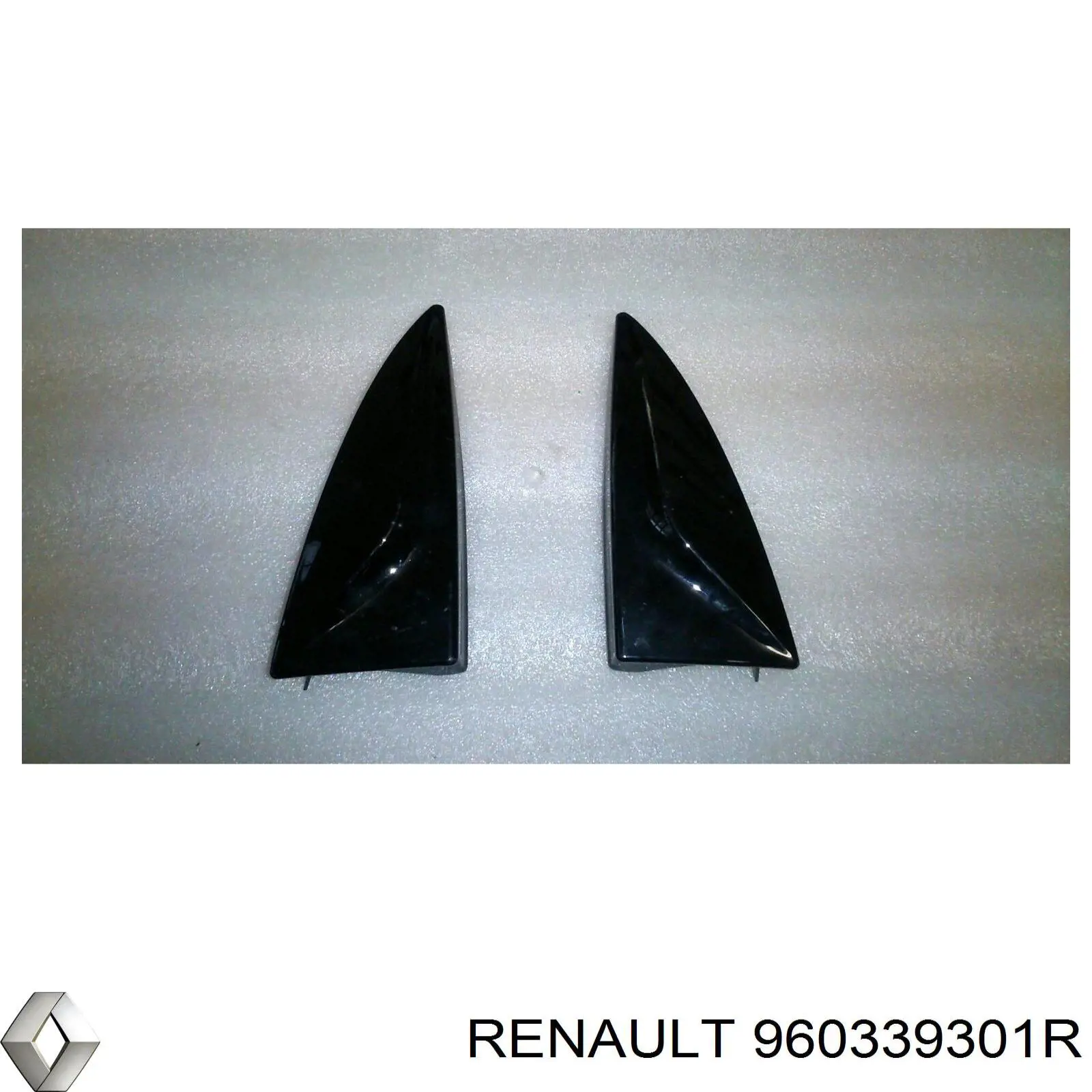  Renault (RVI) 960339301R ціна, від 16.85 USD