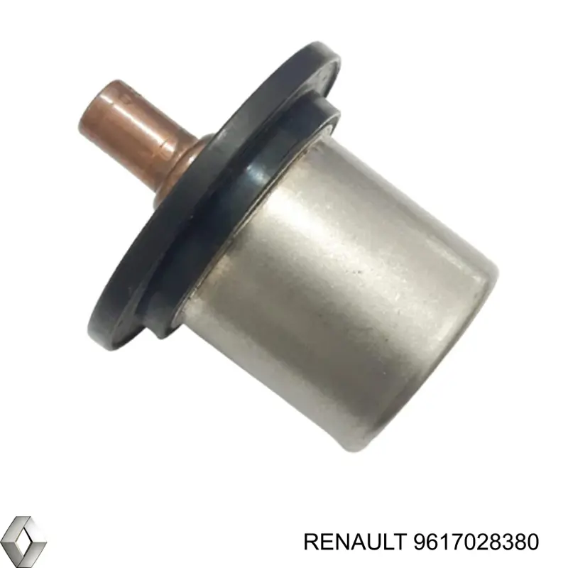 9617028380 Renault (RVI) термостат