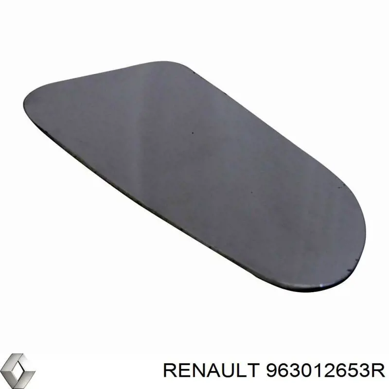 963012653R Renault (RVI) Праве дзеркало заднього виду