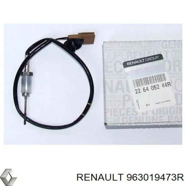 Праве бічне дзеркало Renault (RVI) 963019473R ціна, від 63.32 USD