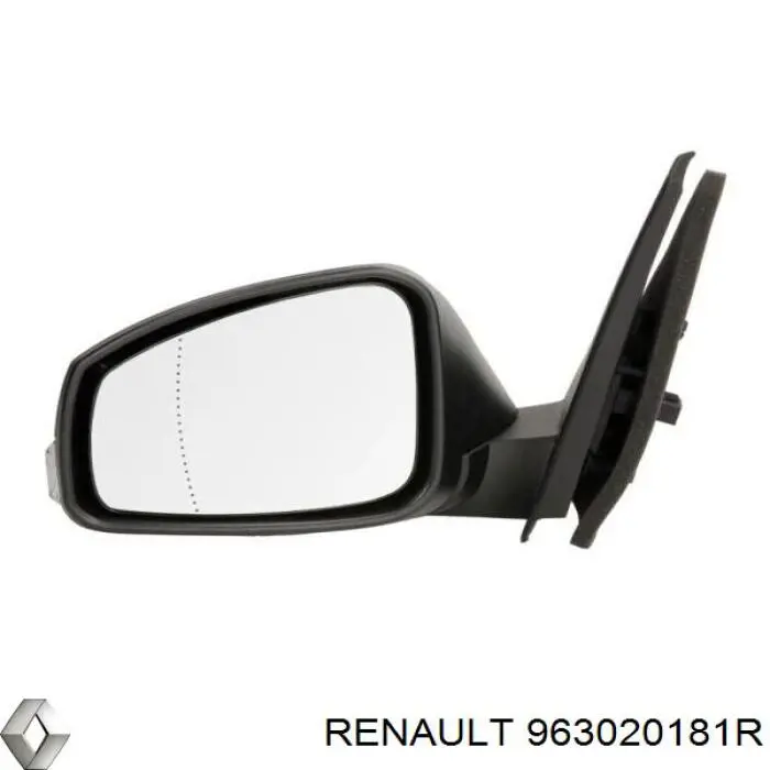 963020181R Renault (RVI) Дзеркало заднього виду, ліве