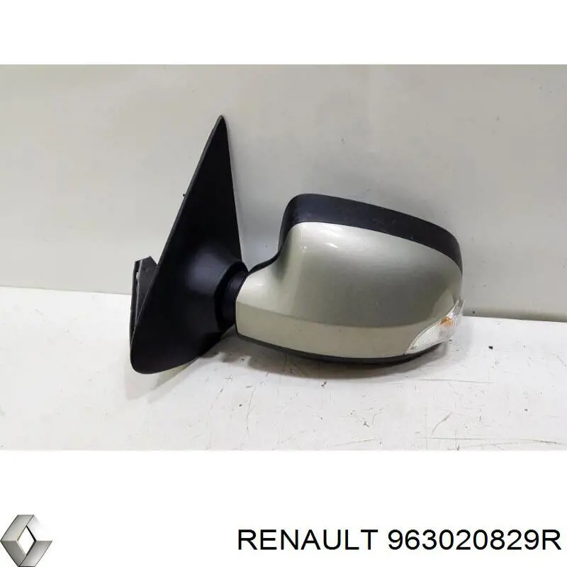 963020829R Renault (RVI) Дзеркало заднього виду, ліве