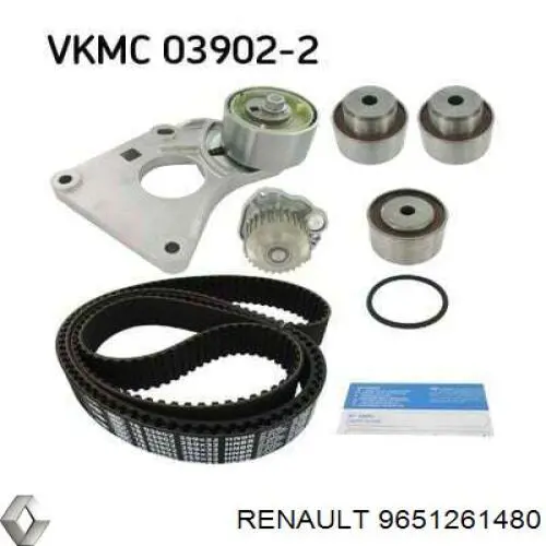 Купити 9651261480 Renault (RVI) Ролик паразитний ГРМ