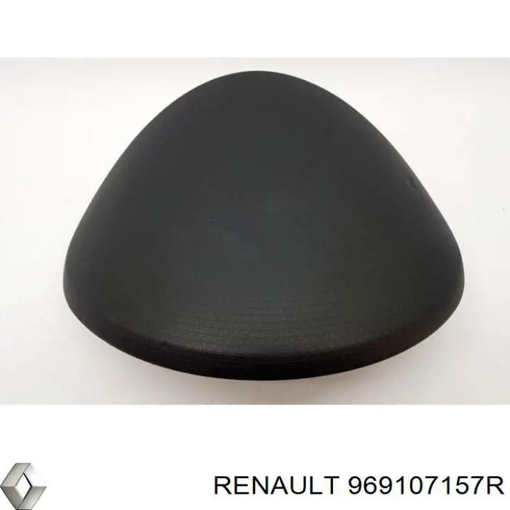 Борода торпеди Renault (RVI) 969107157R ціна, від 11.40 USD