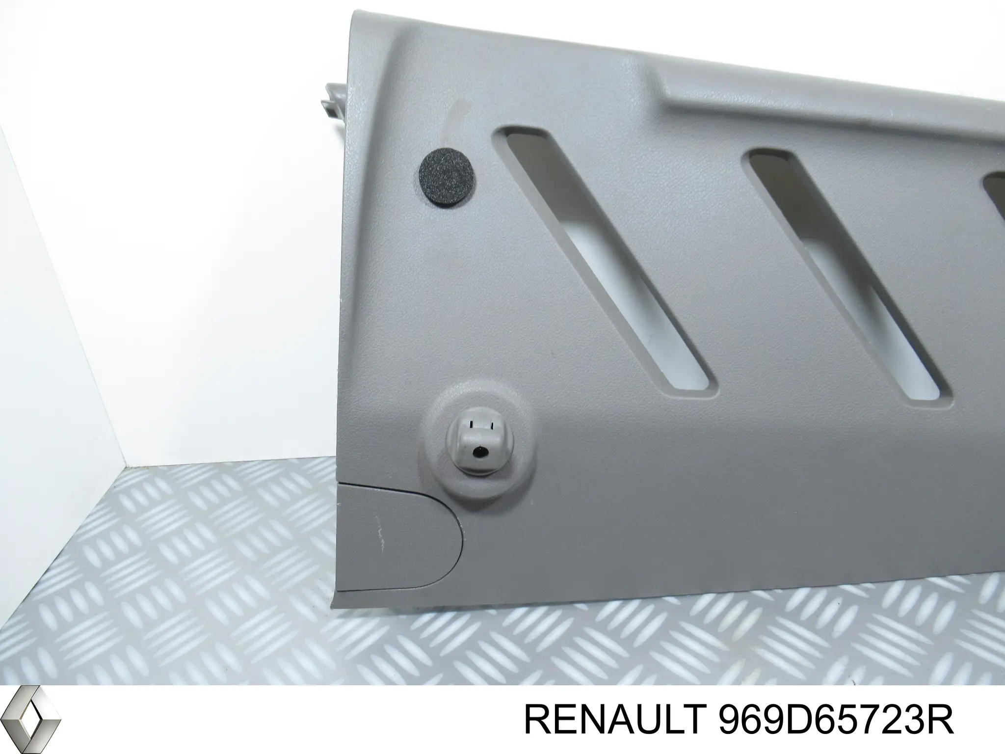  969D65723R Renault (RVI)