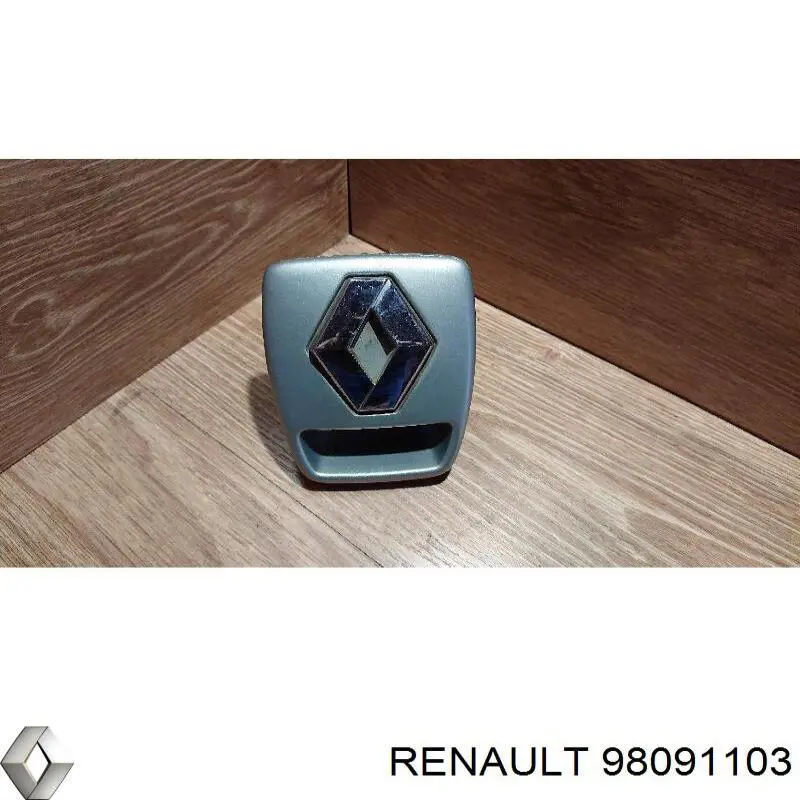 98091103 Renault (RVI) 
