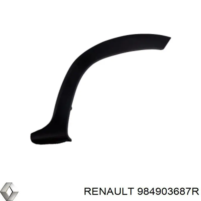 Розширювач задньої арки колеса, лівий Renault (RVI) 984903687R ціна, від 23.00 USD