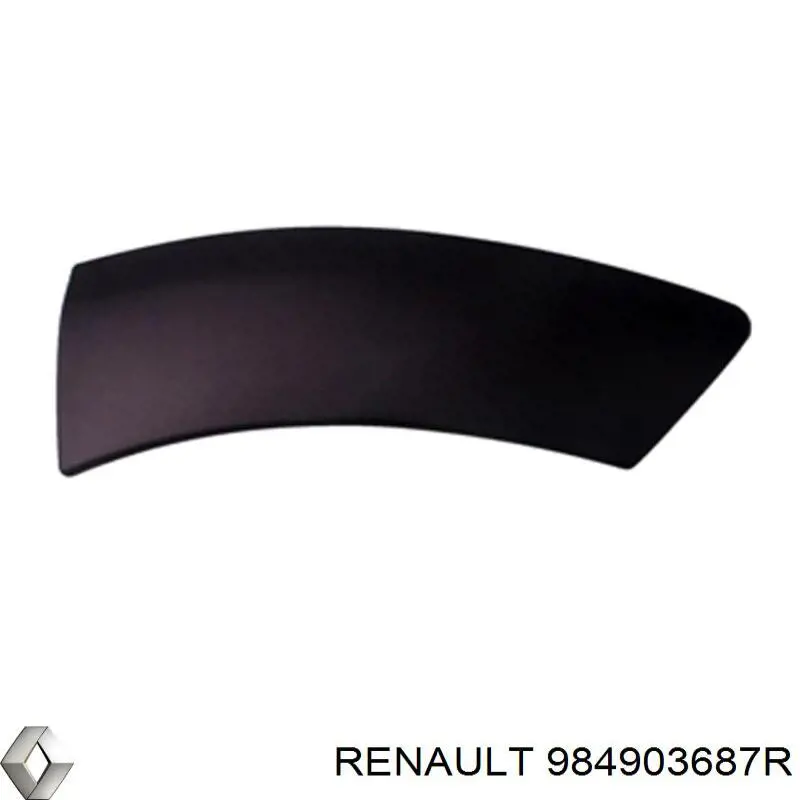 Купити 984903687R Renault (RVI) Молдинг арки колеса заднього, лівий