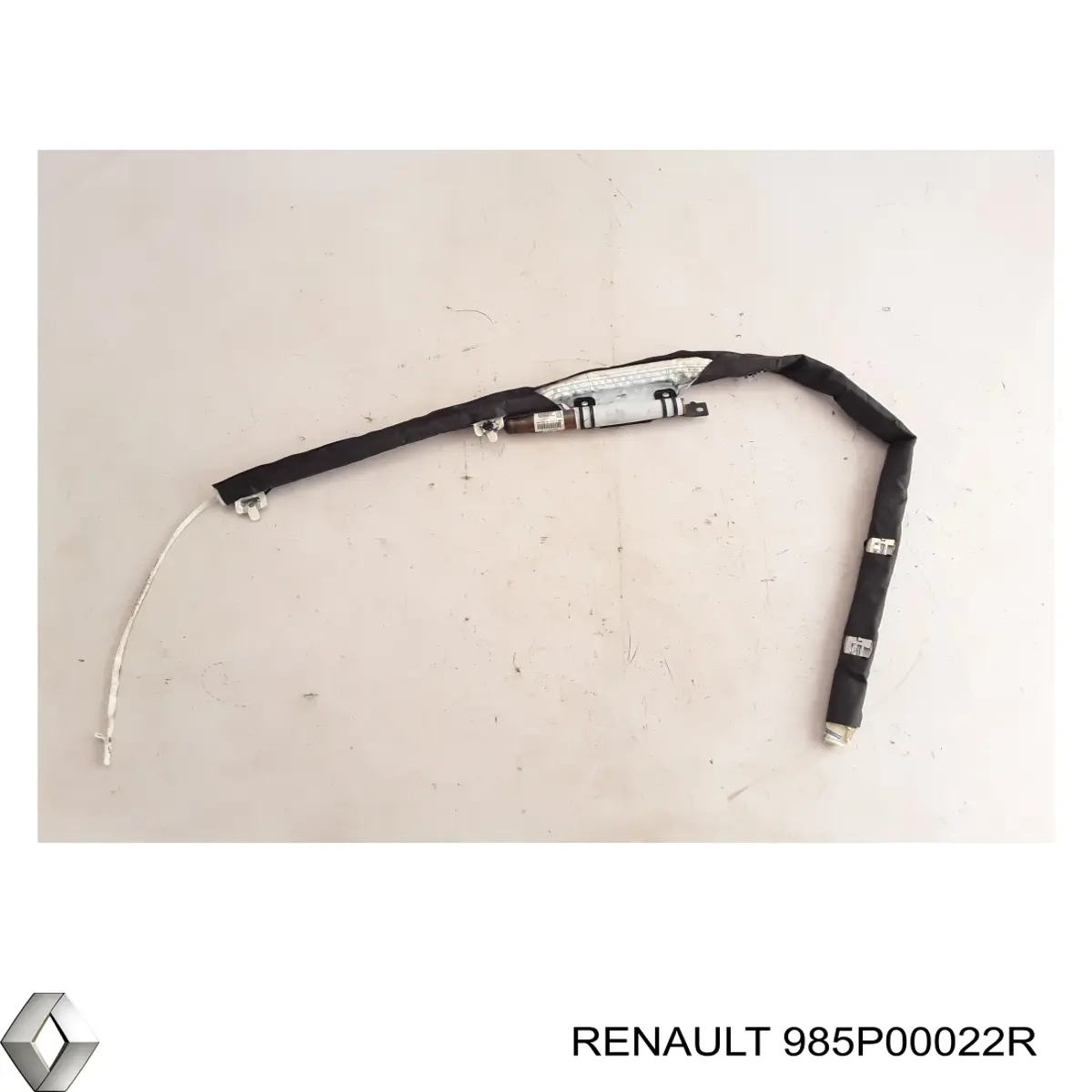 985P00022R Renault (RVI) 