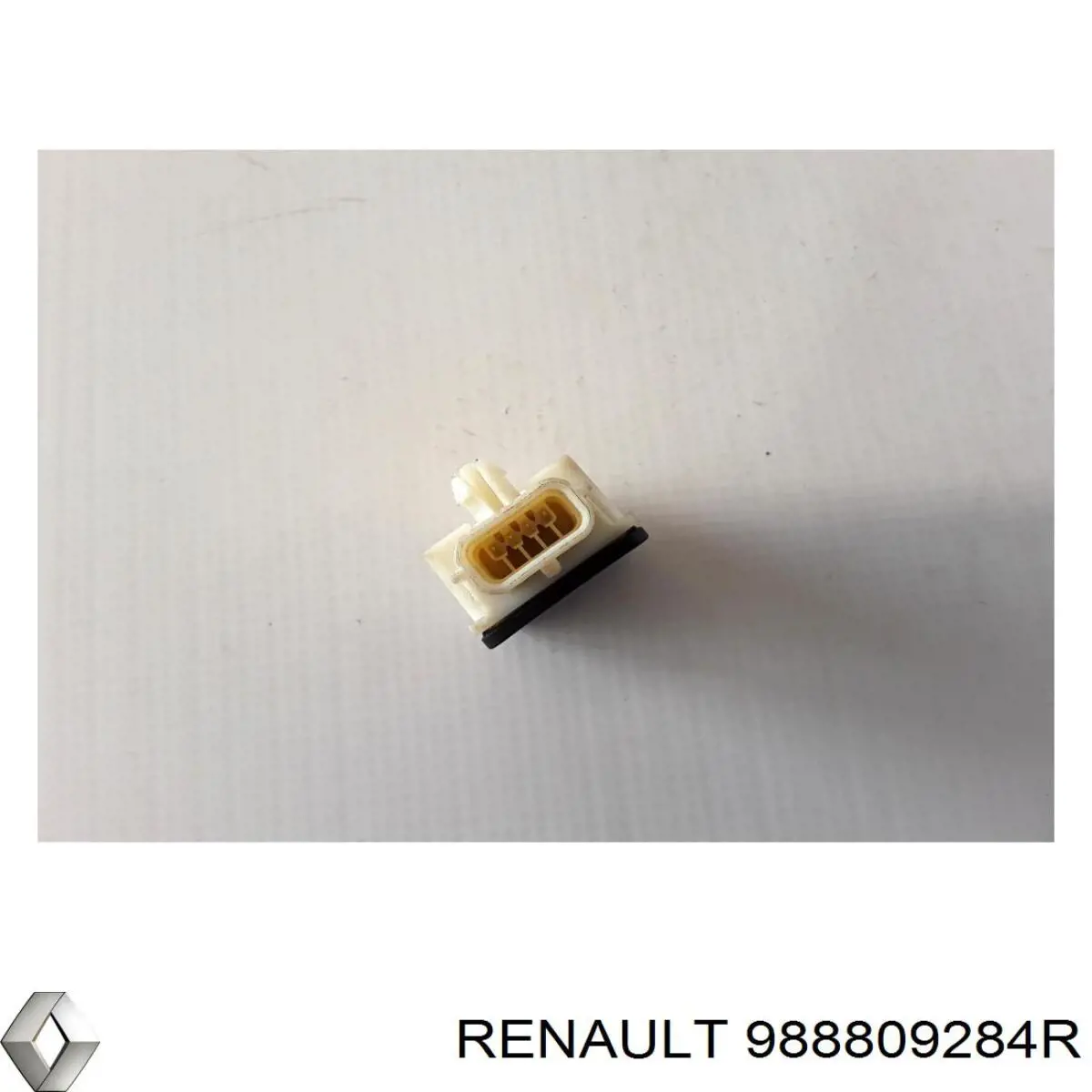  988800002R Renault (RVI)