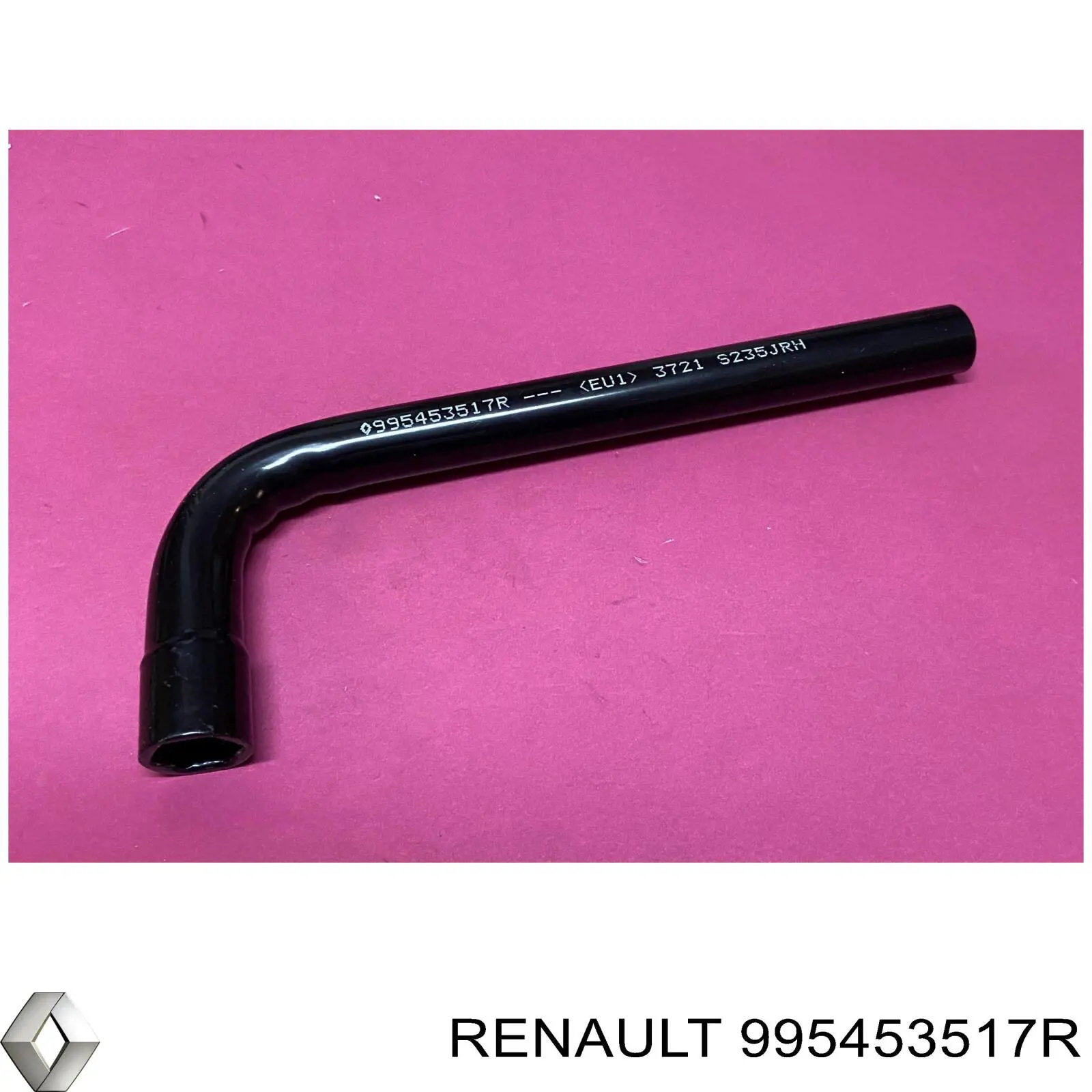 995453517R Renault (RVI) 