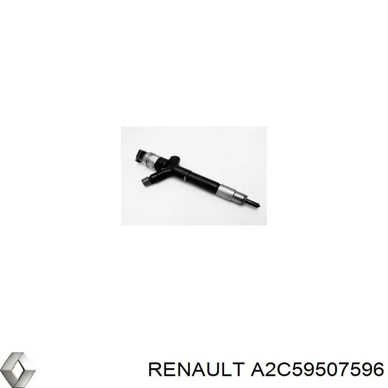 Купити A2C59507596 Renault (RVI) Форсунка дизельна в зборі, розпилювач + тримач