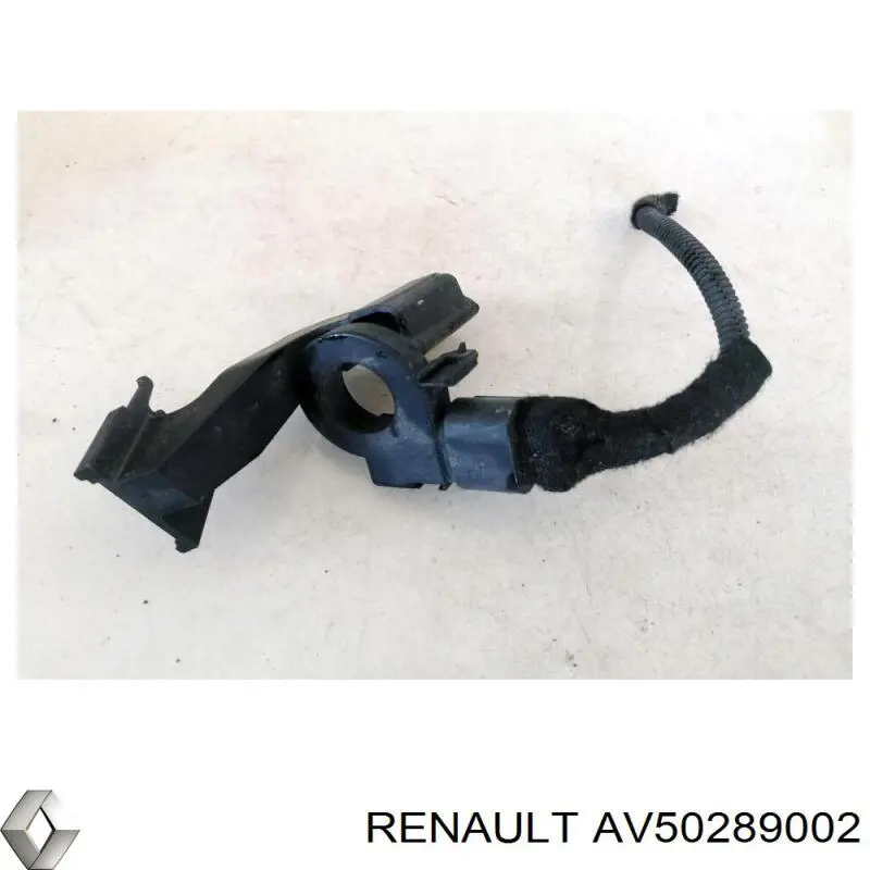 Купити AV50289002 Renault (RVI) 