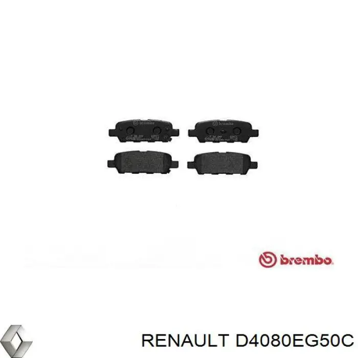 Пластина протискрипна кріплення гальмівної колодки, задня D4080EG50C Renault (RVI)