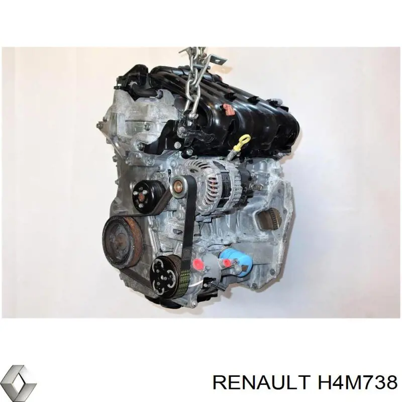 H4M738 Renault (RVI) Мотор в зборі