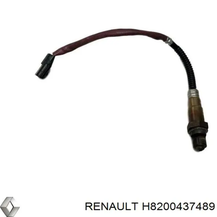 Купити H8200437489 Renault (RVI) Лямбдазонд, датчик кисню до каталізатора