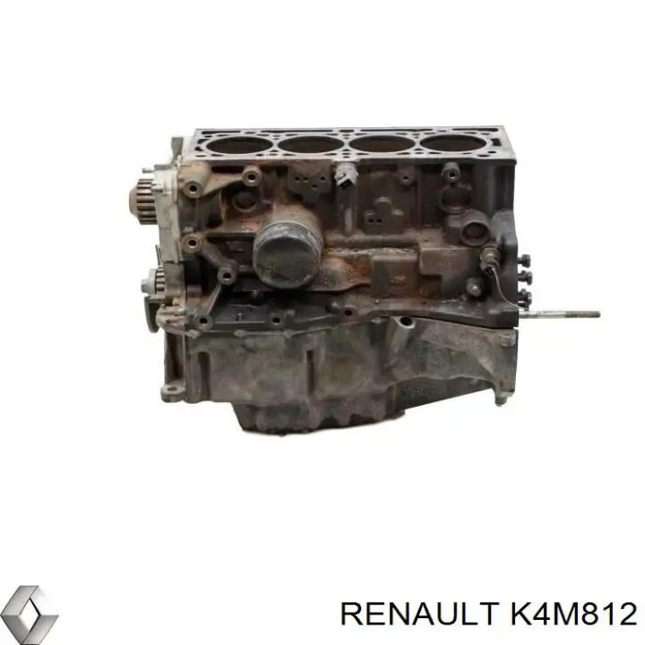 K4M812 Renault (RVI) Мотор в зборі