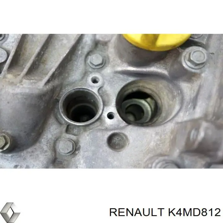ДВЗ Renault (RVI) K4MD812 ціна, від 1056.52 USD