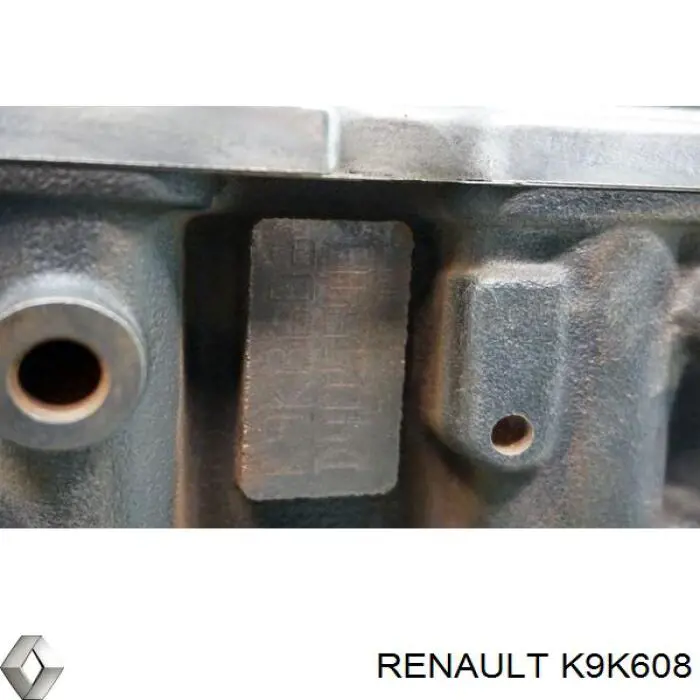 Двигун у зборі Renault (RVI) K9K608