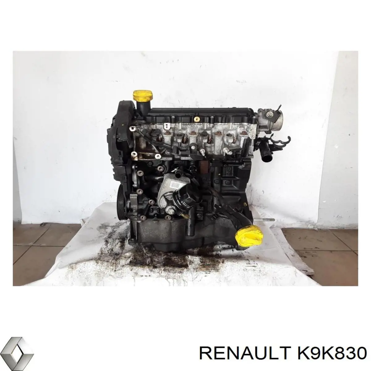 Двигун у зборі Renault SANDERO 2 STEPWAY (Рено Сандеро)