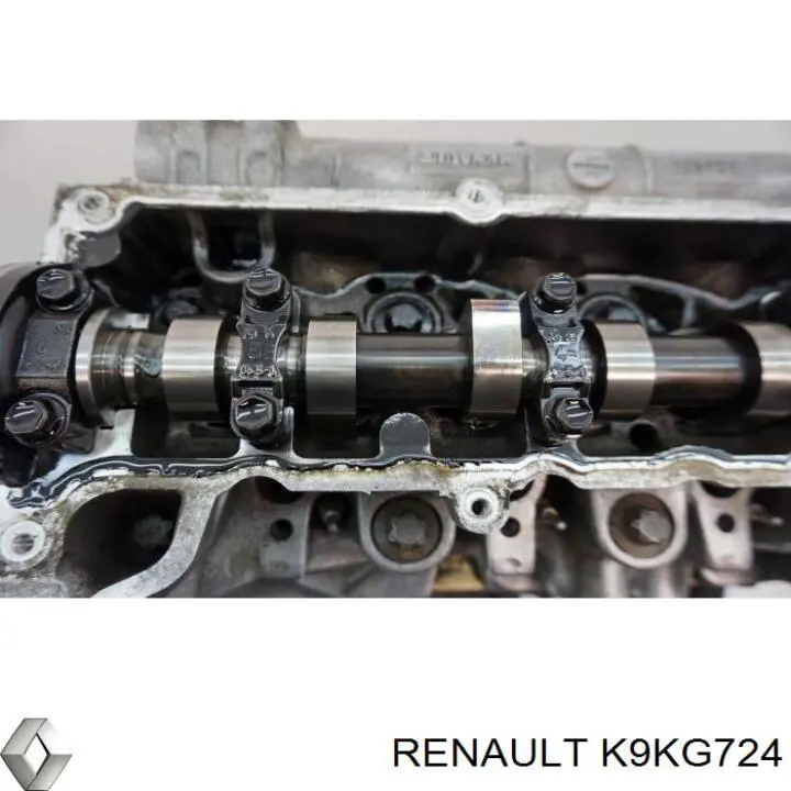 K9KG724 Renault (RVI) двигун у зборі