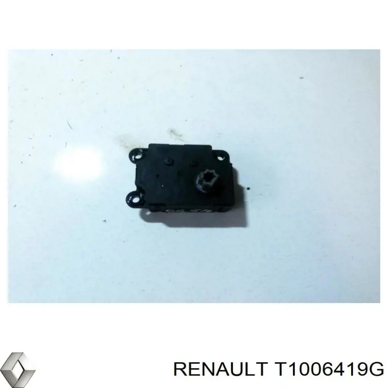  T1006419G Renault (RVI)