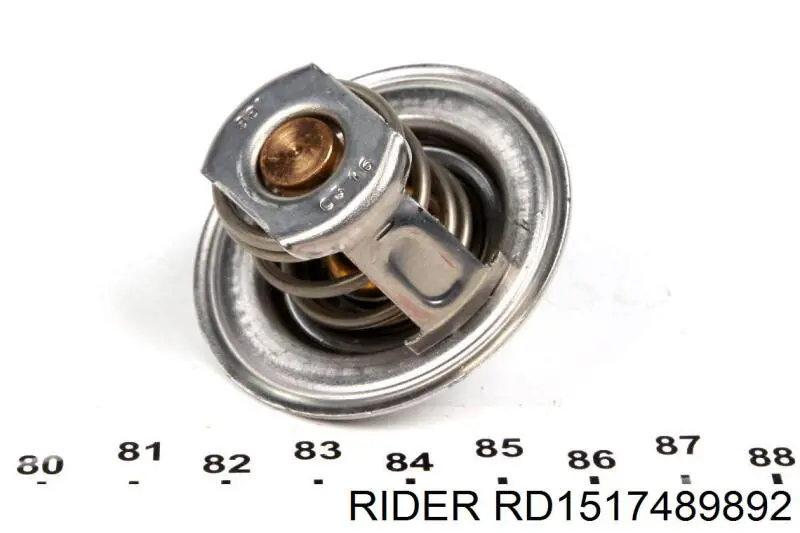RD1517489892 Rider Авто термостат