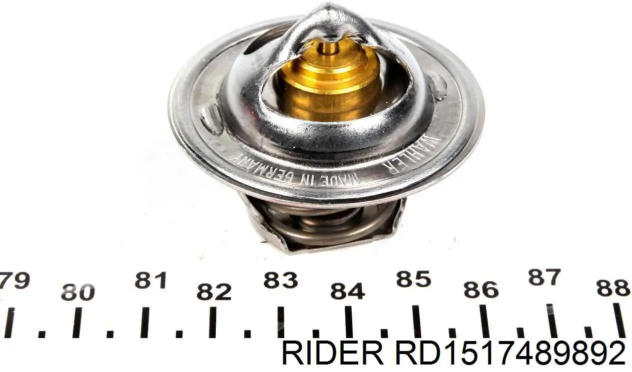 RD1517489892 Rider термостат