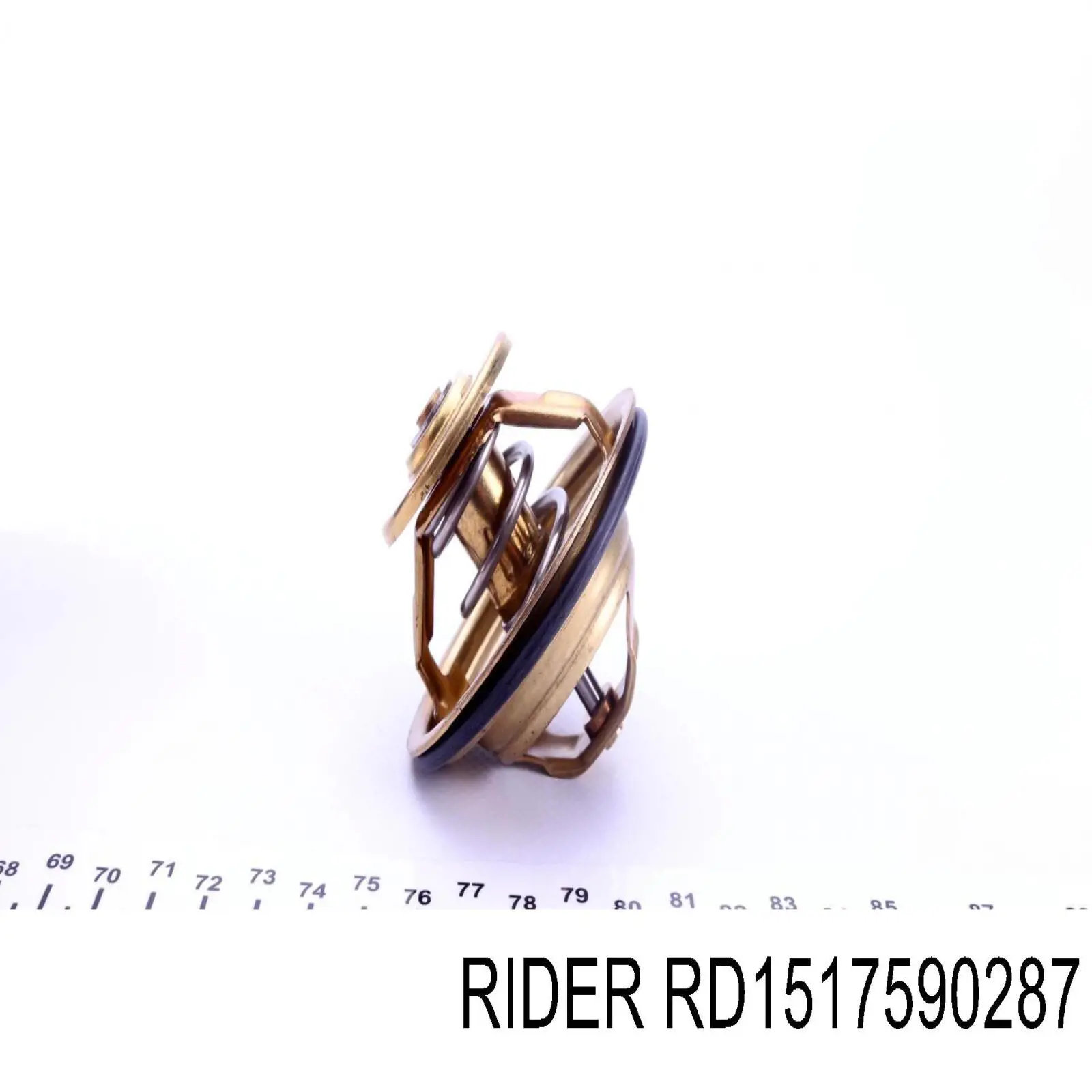 Купити RD1517590287 Rider Термостат в корпусі