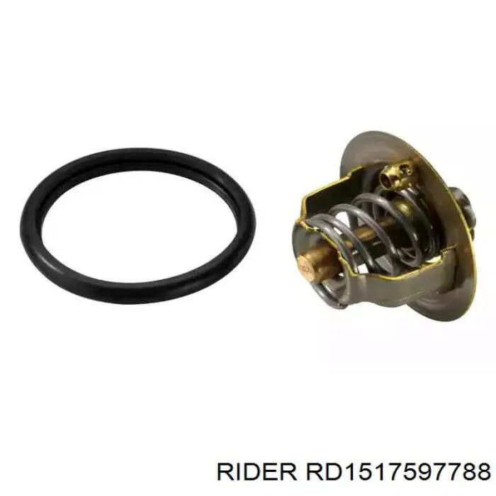 Купити RD1517597788 Rider Термостат в корпусі
