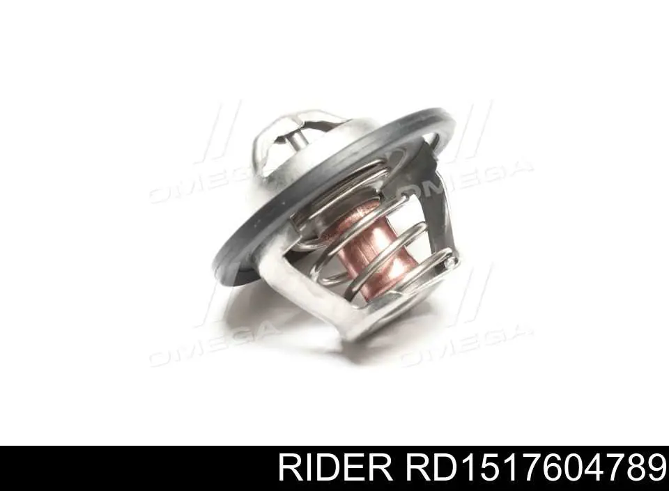Термостат RD1517604789 Rider